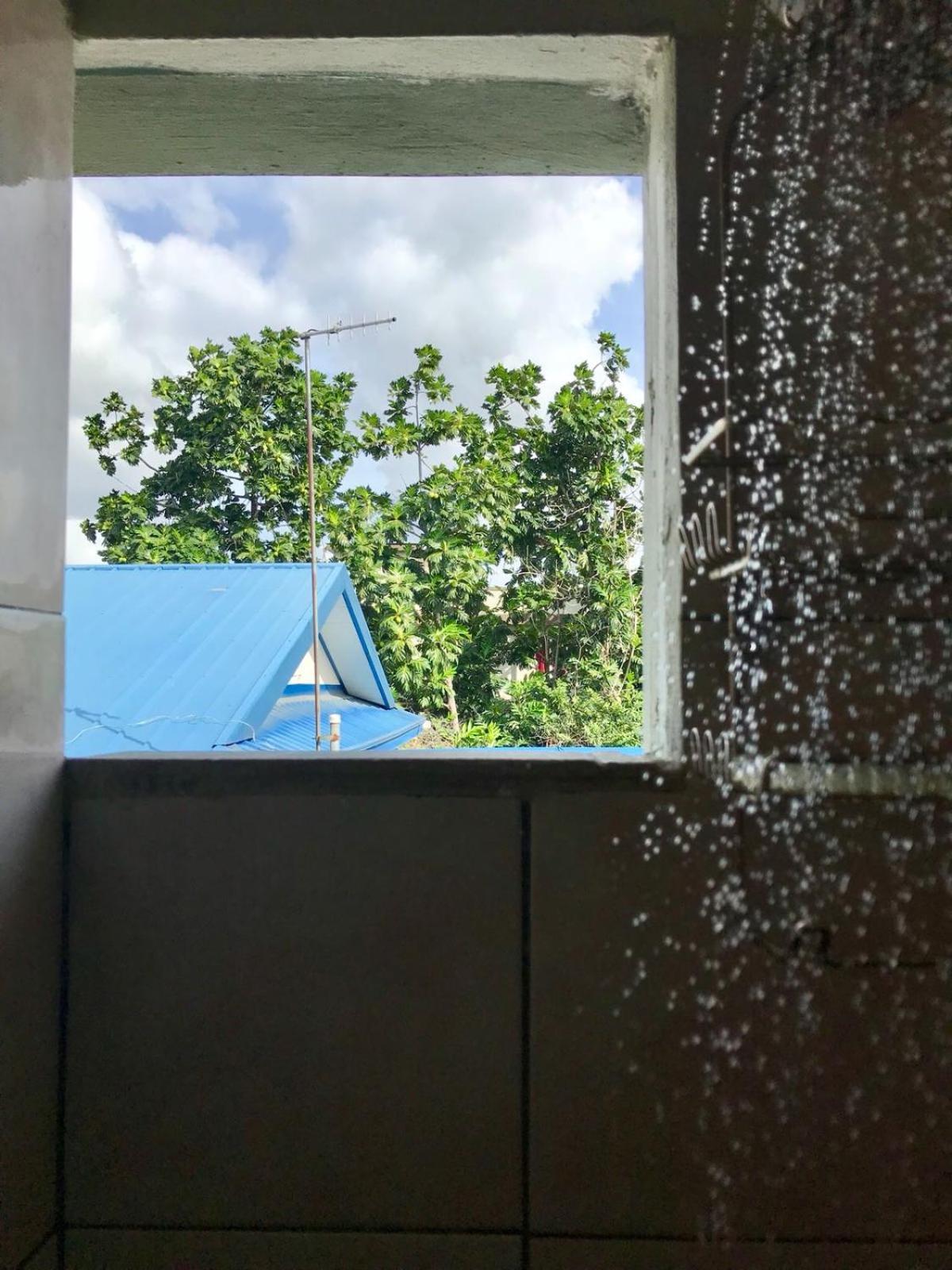 Woodbrook On The Avenue Bed & Breakfast Port of Spain Eksteriør bilde